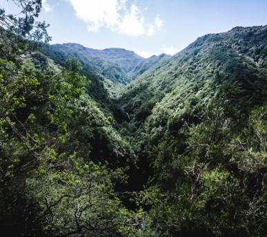 Johannes Ruppel Fotograf Outdooffotografie Madeira-8 Johannes Ruppel Fotograf Outdooffotografie Madeira-5
