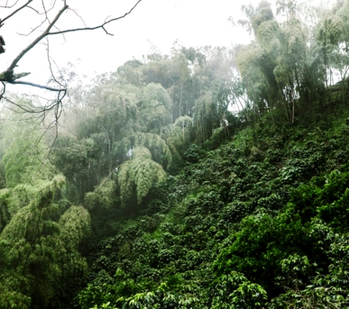 Johannes Ruppel Fotograf Imagefotografie Reinholz Kolumbien-15 Johannes Ruppel Fotograf Imagefotografie Reinholz Kolumbien-12