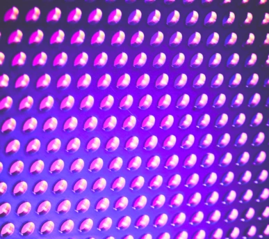 Johannes Ruppel Fotograf Kunstfotografie Macro Bulb-8 Johannes Ruppel Fotograf Kunstfotografie Macro Bulb-2