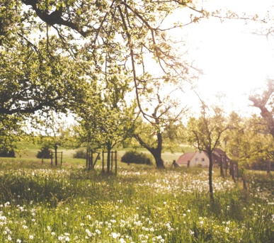 Johannes Ruppel Fotograf Imagefotografie Christoph Jestädt-3 Johannes Ruppel Fotograf Imagefotografie Christoph Jestädt-2