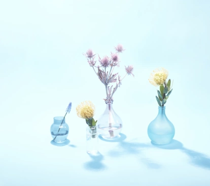 2023-03-02 Ausstellung Blumen Schatten0850-kl 2023-03-02 Ausstellung Blumen Schatten0850-kl